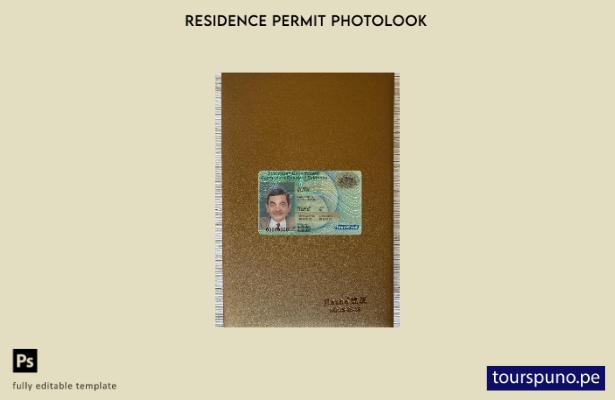 listo para imprimir plantilla FRONTAL de foto de tarjeta de residencia permanent